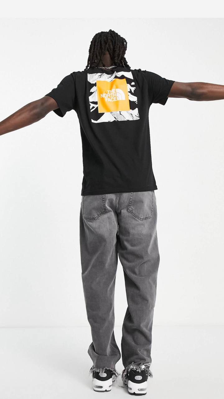 The North Face Foundation Graphic Muška Majica